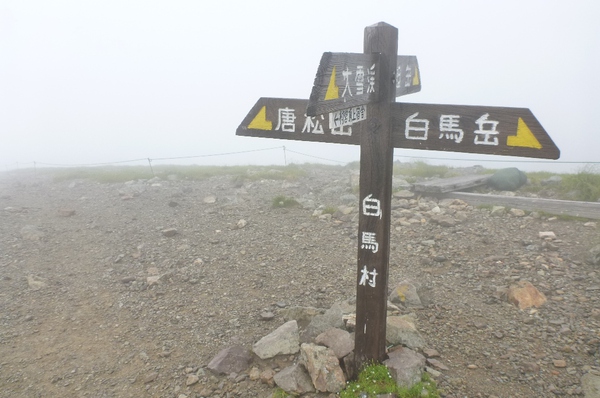 白馬三山は花盛り