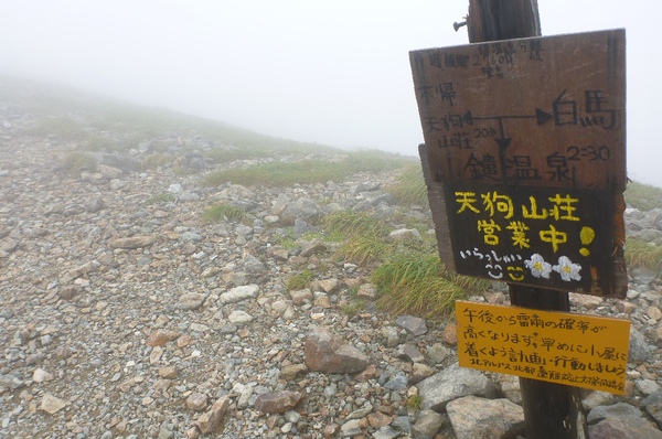 白馬三山は花盛り