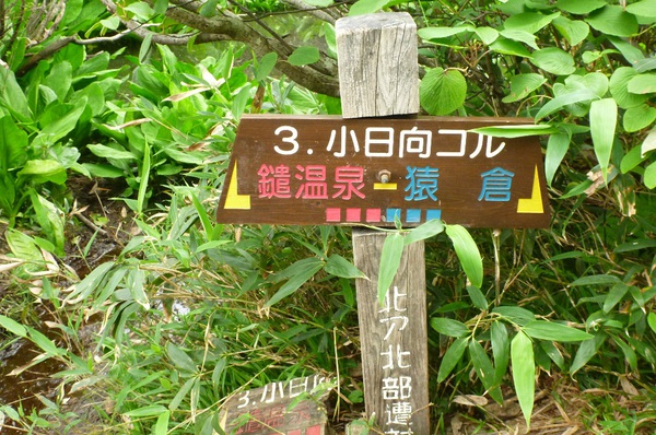 白馬三山は花盛り