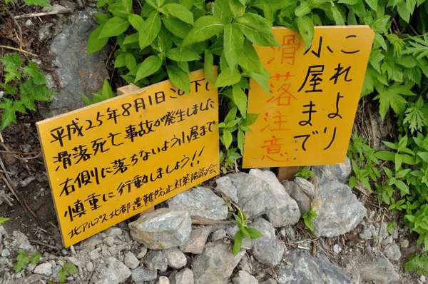 白馬三山は花盛り