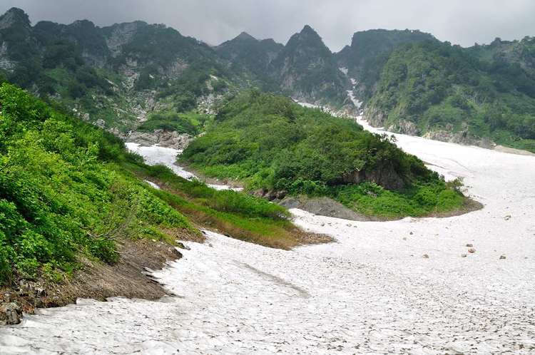 白馬三山は花盛り