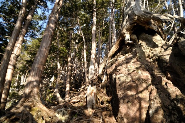 「春の嵐」の前に鉄山から弥山へ　