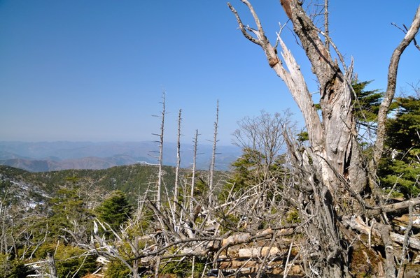 「春の嵐」の前に鉄山から弥山へ　