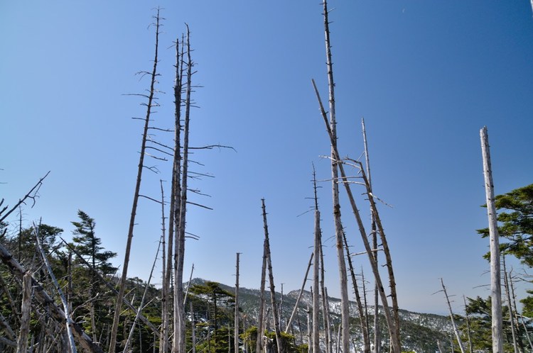 「春の嵐」の前に鉄山から弥山へ　