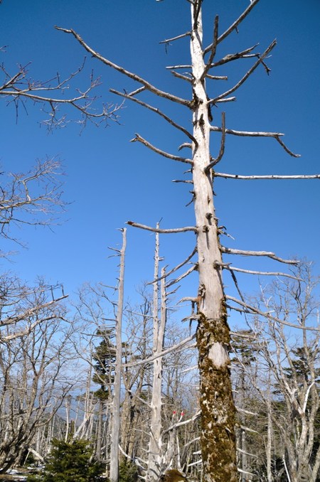 「春の嵐」の前に鉄山から弥山へ　