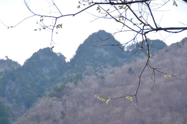 「春の嵐」の前に鉄山から弥山へ　