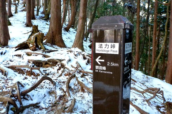 霧氷の華満開の稲村ヶ岳で宝剣探し