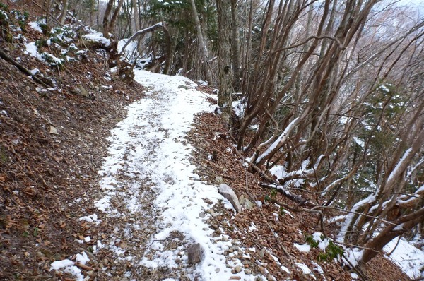 霧氷の華満開の稲村ヶ岳で宝剣探し