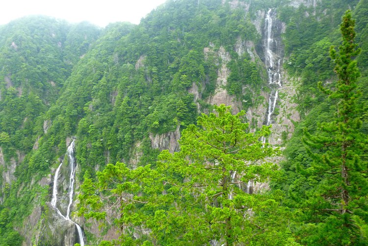 超大スケール　大台ケ原・シオカラ谷沢登り