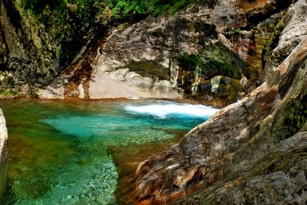 大峰・前鬼川で沢登りコラボ企画