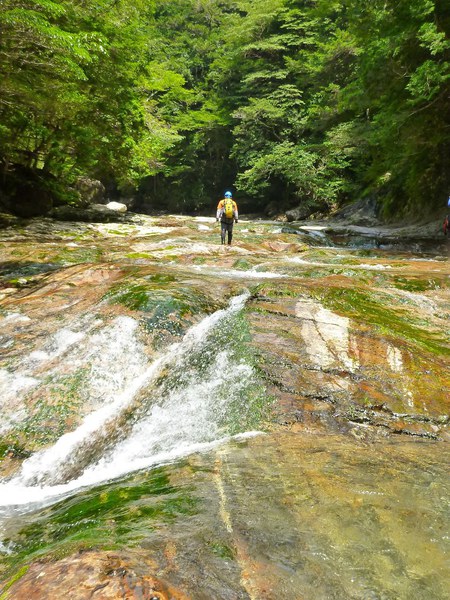 大峰・前鬼川で沢登りコラボ企画