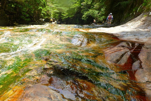 大峰・前鬼川で沢登りコラボ企画