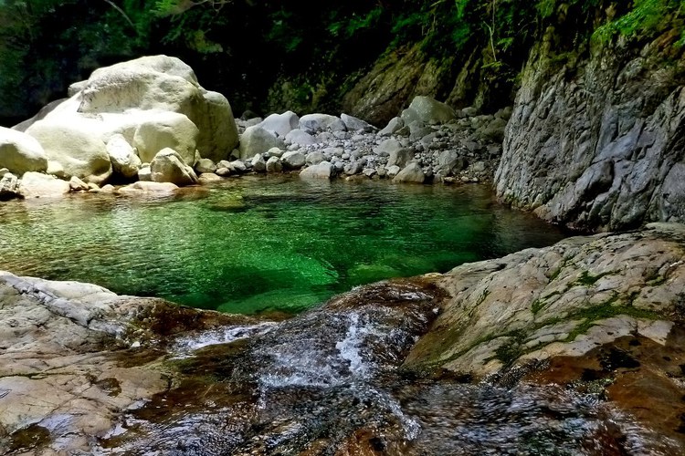 大峰・前鬼川で沢登りコラボ企画