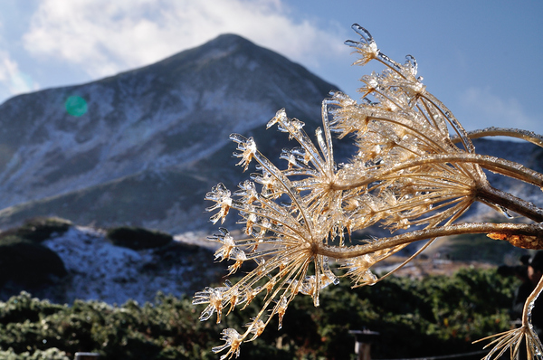初冠雪の立山から大日三山へ