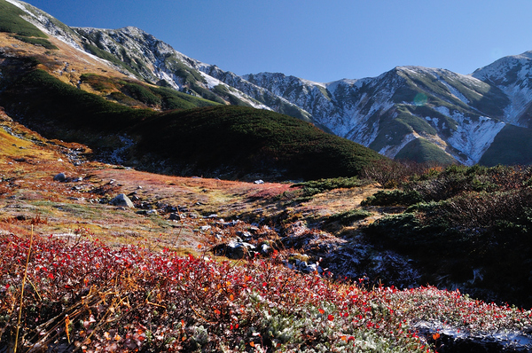 初冠雪の立山から大日三山へ