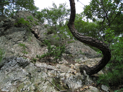 金華山　３２８ｍ　２００８年９月５日（金）