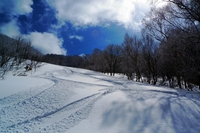 山田牧場スキー場　2009年2月19日（木） 2009/02/24 00:09:16