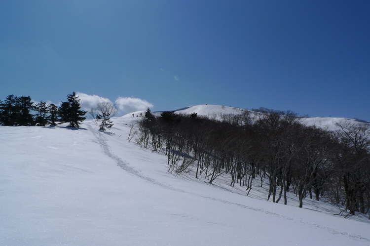 バックカントリー　大日ヶ岳　２００９年３月２日（月）