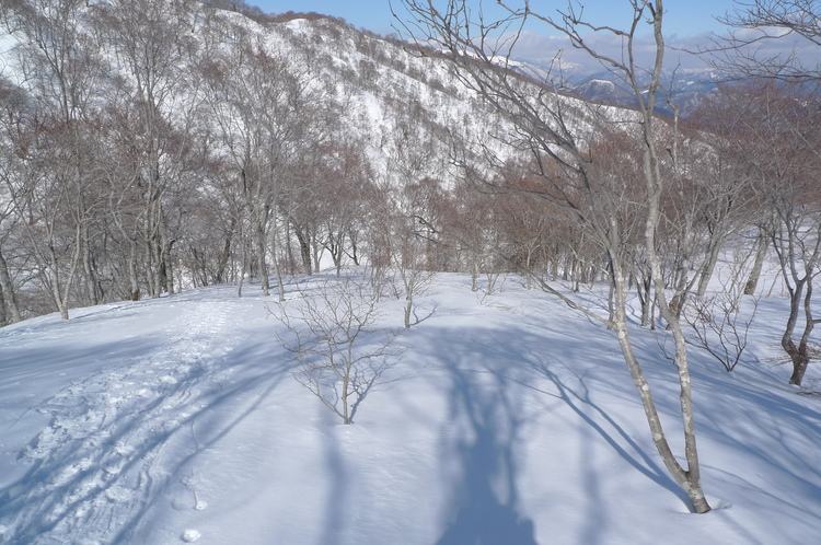 バックカントリー　大日ヶ岳　２００９年３月２日（月）