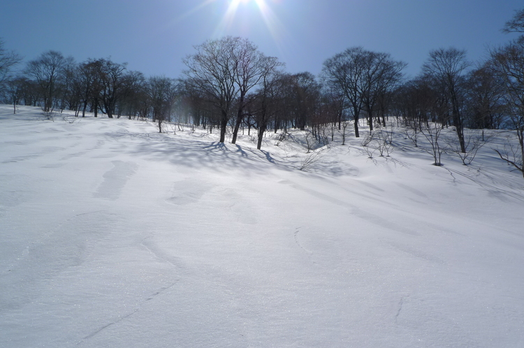 バックカントリー　大日ヶ岳　２００９年３月２日（月）