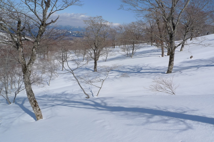 バックカントリー　大日ヶ岳　２００９年３月２日（月）