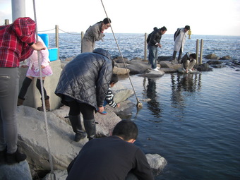 城南島海浜公園キャンプ場