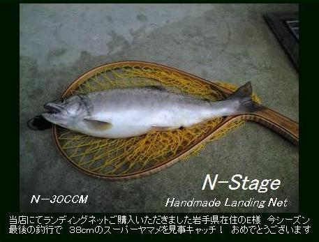 やるな・・