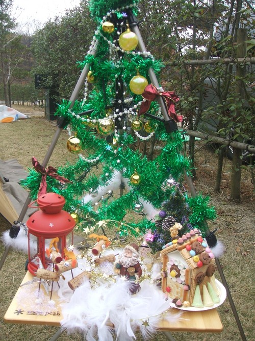 Aogawa de  Xmas 2008　①