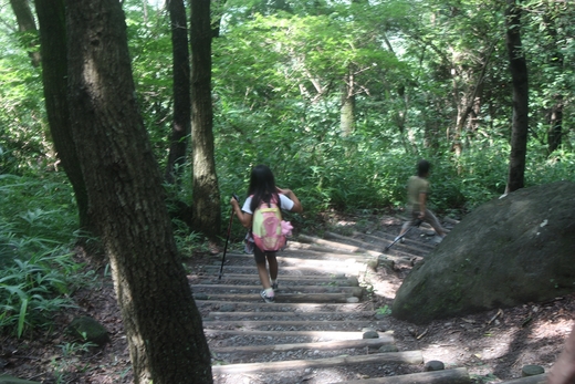 近所の山へトレッキング～！