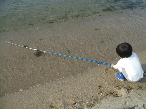 せんなん里海公園