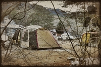 今年の初キャンプは自然の森で♪