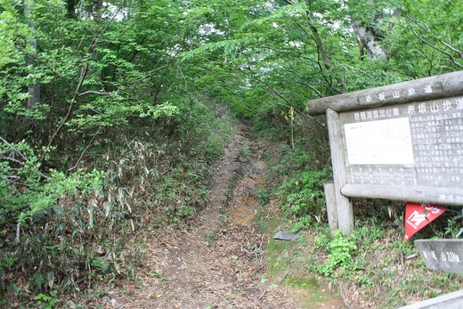 足慣らしトレッキング IN マキノ高原