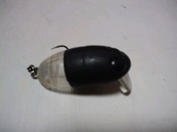 ﾎﾞｯｷﾎﾞｷ！！ 2011/06/13 21:29:04