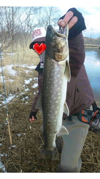 ﾘﾘｽ｡ 2011/03/28 23:41:01