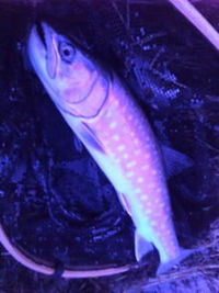 部活。 2011/04/08 21:24:04