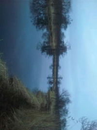朝立ち｡ 2011/04/23 18:45:25