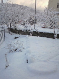 どこいった？・・・ 2011/03/10 17:18:44