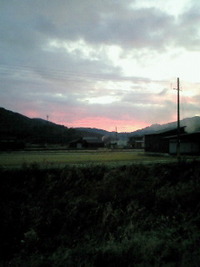 更新遅・・・ 2011/12/13 11:36:48