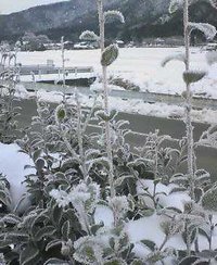釣りの帰り・・・ 2008/01/28 09:38:21