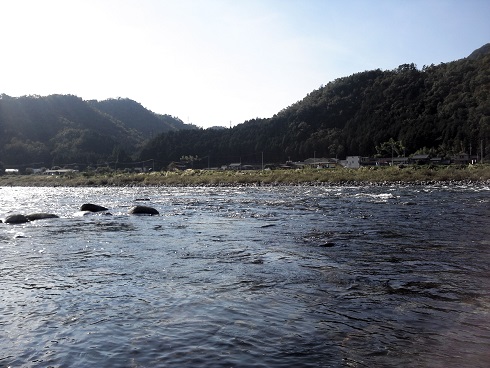 友釣り最終釣行ー！　締りの無い締めくくり。