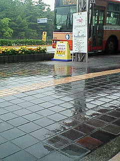 ブログ交流会♪