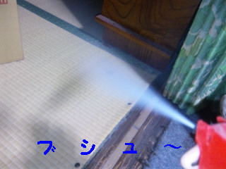 絶叫！！！