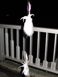 爆釣・・・？？