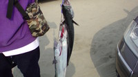 2010年　4th-6th Fish