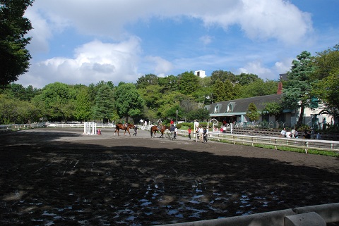 いつもの公園 de デイキャンプ