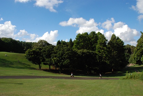 いつもの公園 de デイキャンプ