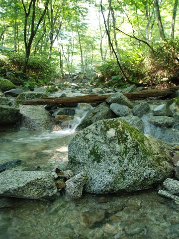 山伏オートキャンプ場