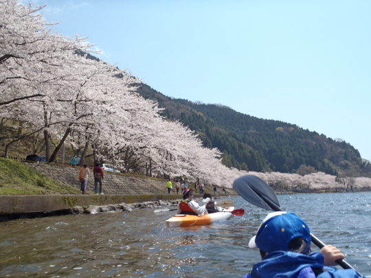 お花見カヤック　～　キャンプ＾＾