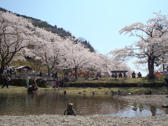 お花見カヤック　～　キャンプ＾＾