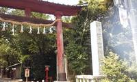 鷲宮神社と萌酒 2010/09/01 14:26:00